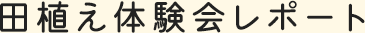 田植え体験会レポート