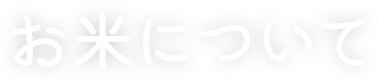 お米について